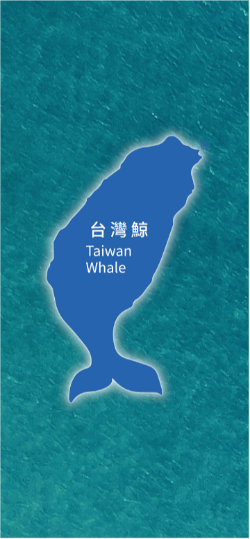 台科大酷點校園主辦『台灣鯨創意新秀海選』